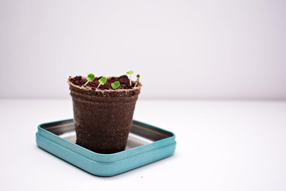 Choosing the Right ‍Materials: A Guide to Biodegradable Pot Options