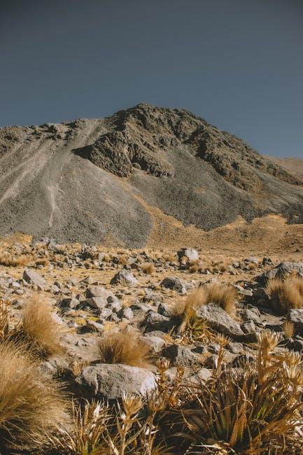 Understanding electrolyte Minerals⁤ and Their Role in Hydration