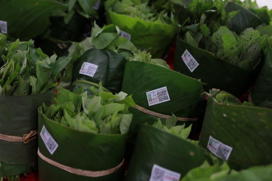 The Environmental Impact of Eco-Friendly Packaging solutions
