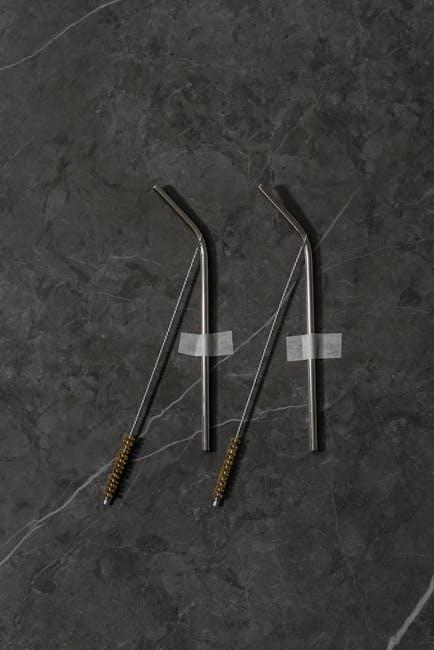 Exploring the Eco-Friendliness of Reusable Straws