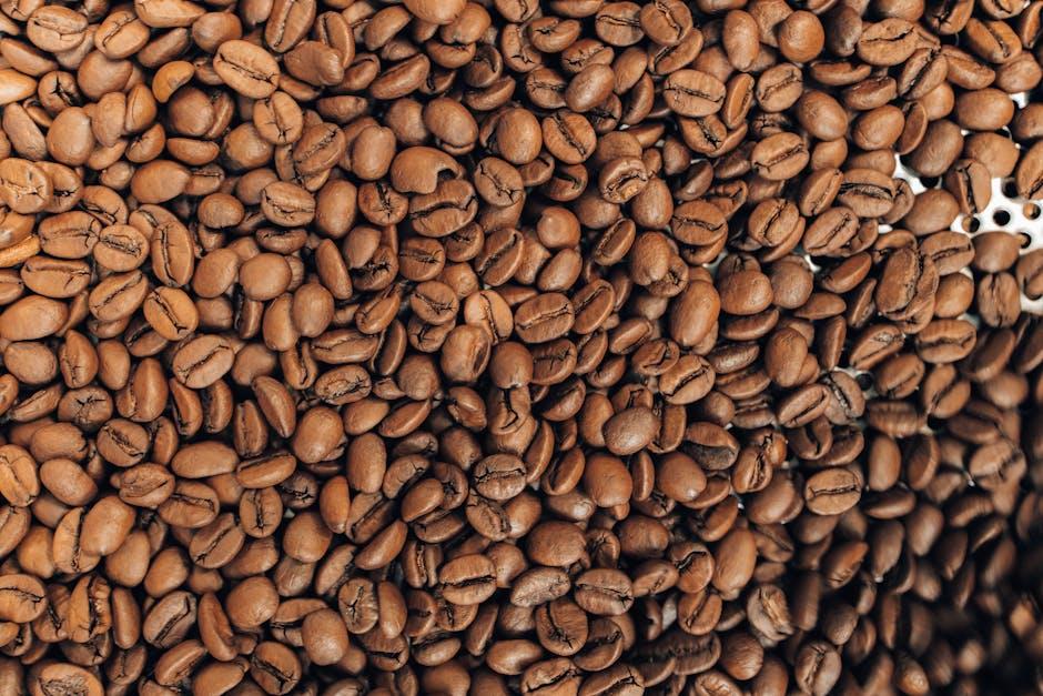 Ethical Sourcing Practices: what to Look⁤ For in ⁢Sustainable Brands
