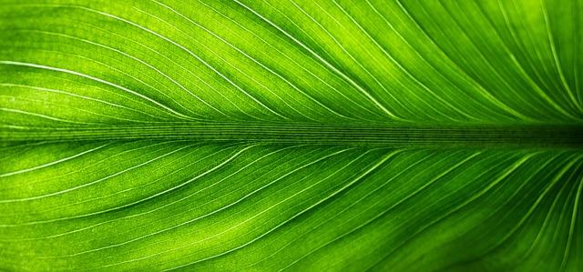 Building Your Eco-Friendly Community and​ Resources