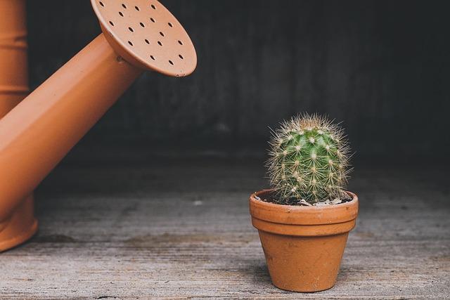 Transforming Waste into Wealth: The ⁤Impact of⁤ Biodegradable ⁣Pots on Soil Health
