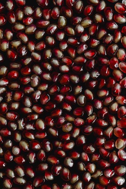 Understanding the Role of Folate in Methylation Processes