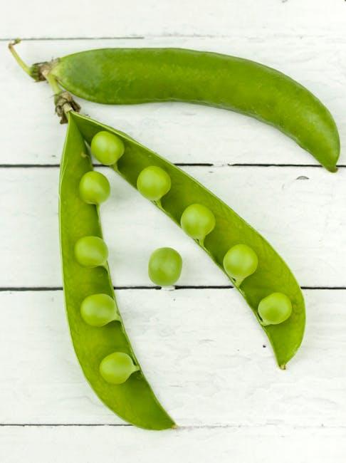 Incorporating ⁤Pea ​Protein ⁣Isolate into Your ​Diet: Practical Tips and Recipes
