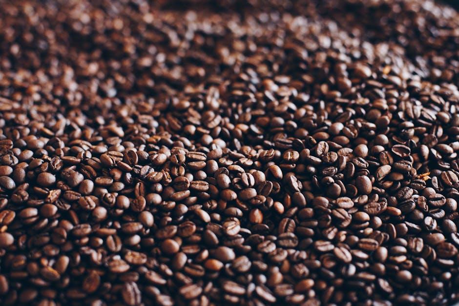 Exploring the ‍Journey ⁣from bean to Brew