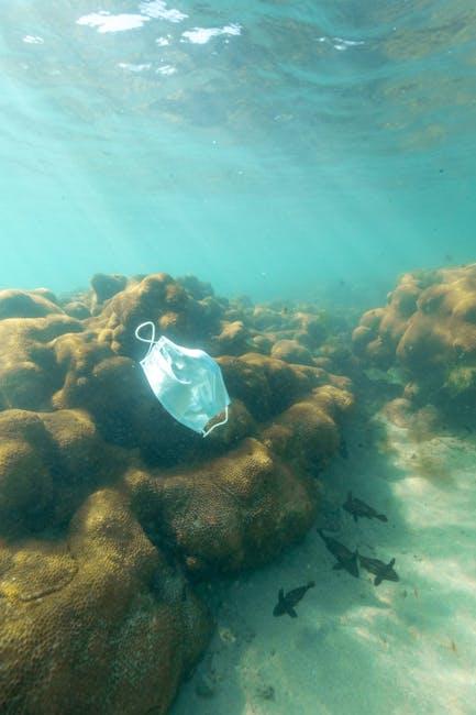 Creative Ways to Encourage ‍Others to Ditch Single-Use ⁢Plastics