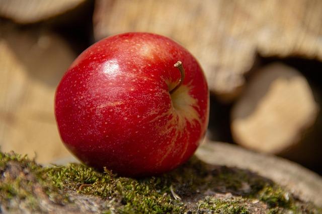 Exploring the Nutrient Interactions of Vitamin ⁤K1