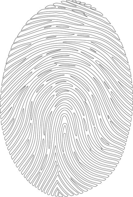 Comprehensive‌ Security‍ Features ⁣for Peace ​of Mind