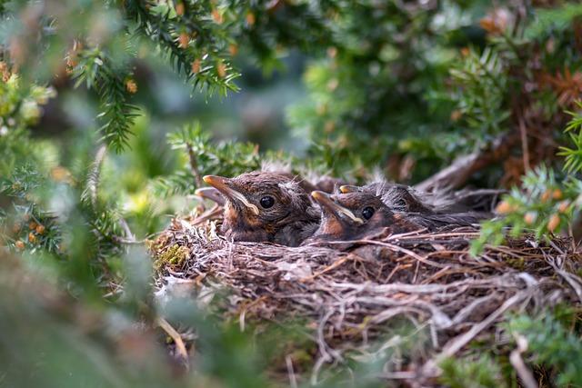 understanding ⁣the​ Technology ⁢Behind Nest Protect's Dual‌ Detection System