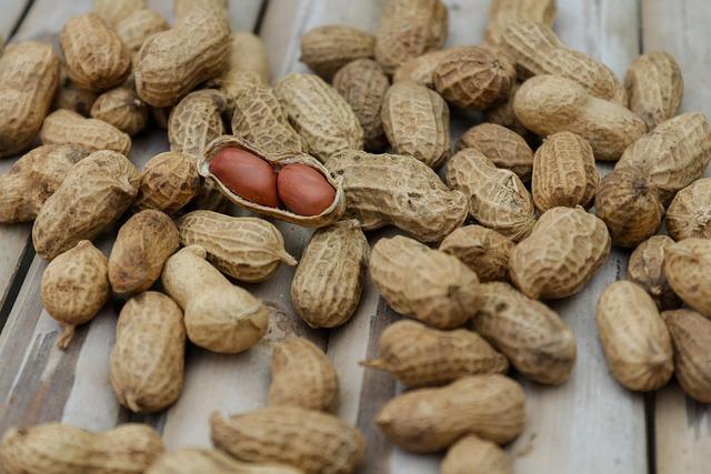 Practical Tips for ‌Incorporating Isolate Protein into Your Diet
