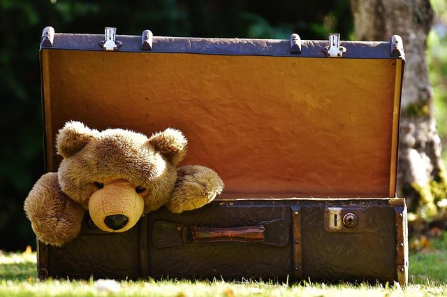 Travel Smart: Recommendations for Choosing ‌the‍ Right Baseline Suitcase⁤ Model