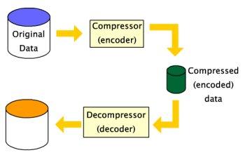 Maximizing Space: How Compression‌ Technology Transforms Your Packing Experience