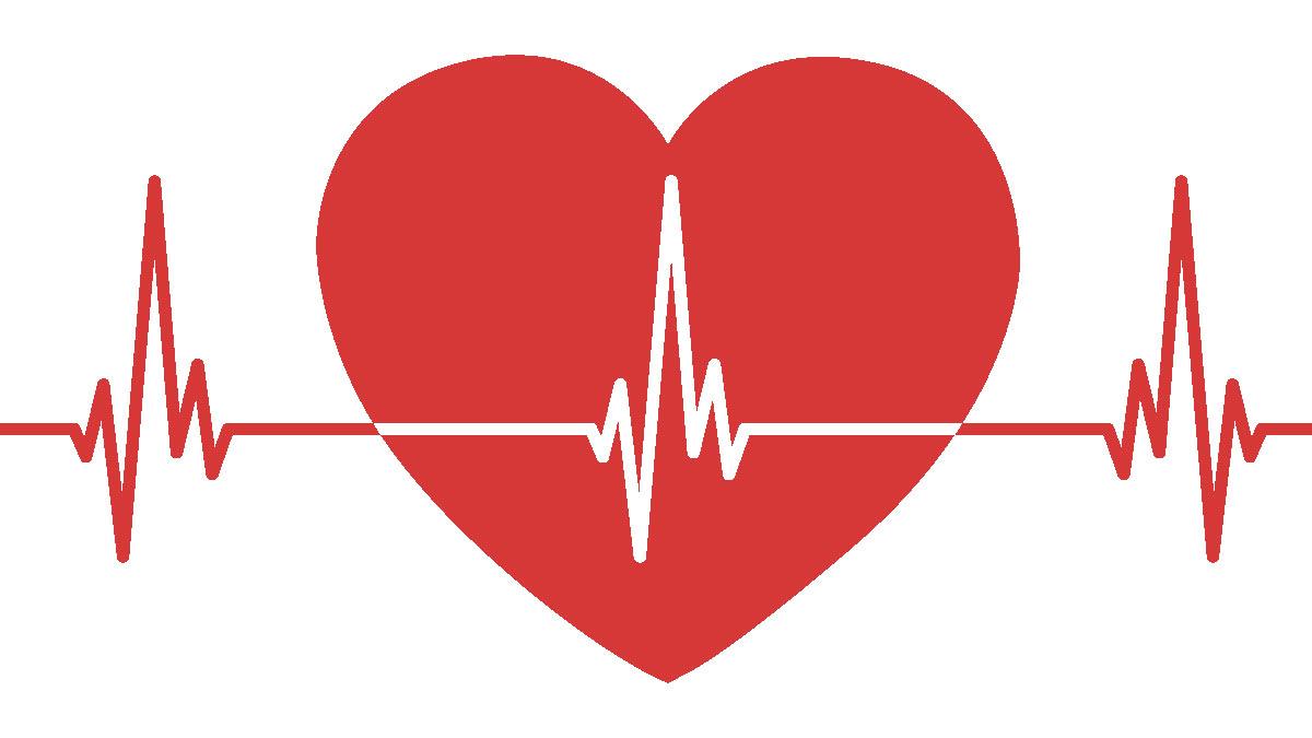 heart Rate⁣ Insights:⁣ Evaluating the⁢ Charge ​6’s​ Cardiovascular Monitoring Capabilities